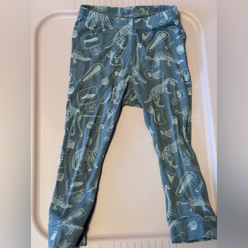 Kids Fossil Adventure Leggings - Gray